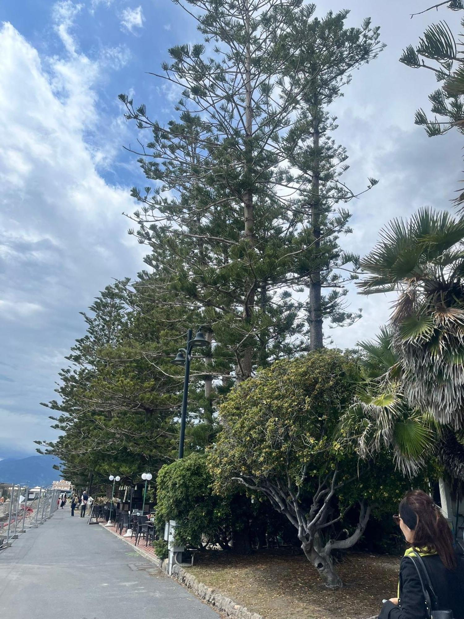 Casa Vacanza! A 50M Dal Mare! Bordighera Εξωτερικό φωτογραφία